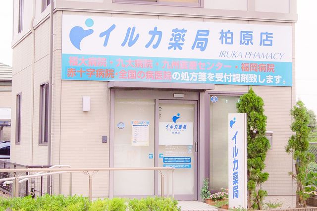 イルカ薬局　柏原店　入口