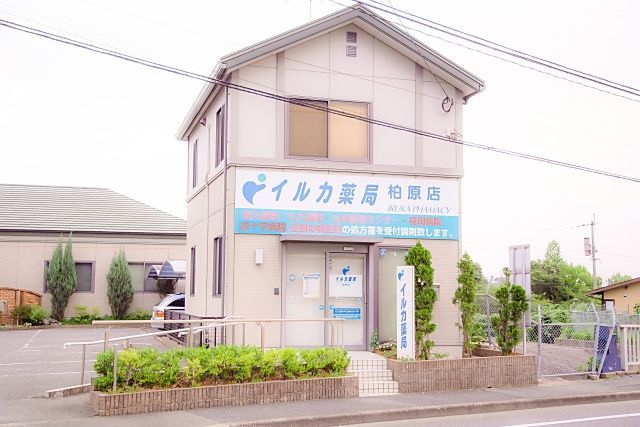 イルカ薬局 柏原店 外観